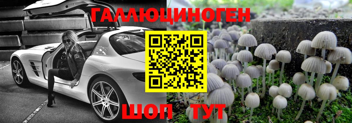 Галлюциногенные грибы мухоморы  Псилоцибиновые грибы мухоморы  Нерюнгри  Вход с VPN 